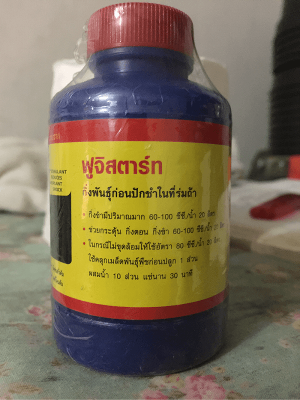 Vitamin B1 Thái Lan được nhiều người sử dụng