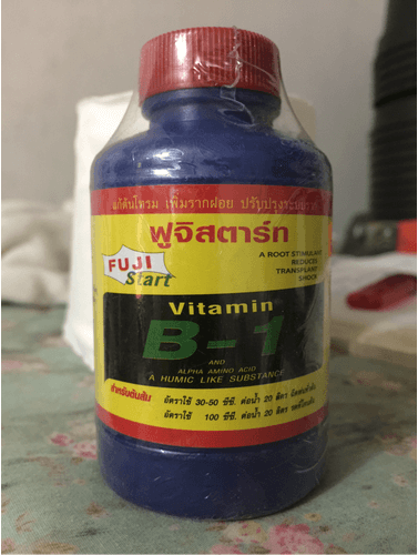 Vitamin B1 cho cây lan