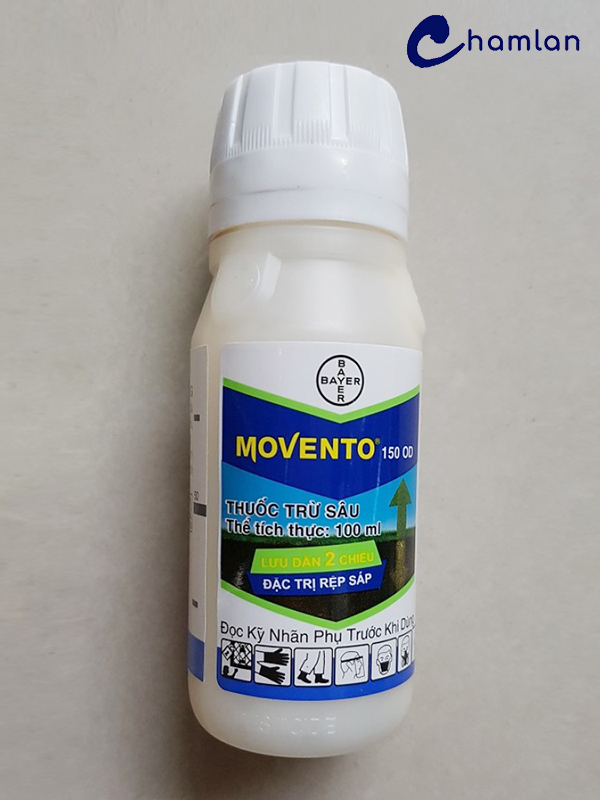 Movento 150 OD tiêu diệt rệp hiệu quả