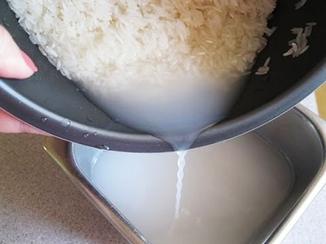 Dùng nước vo gạo tưới lan bạn nên để lắng đọng cặn