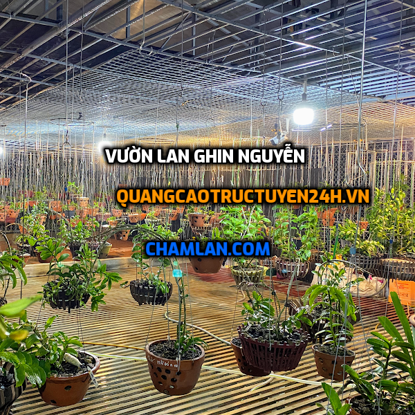 Vườn Lan Ghin Nguyễn