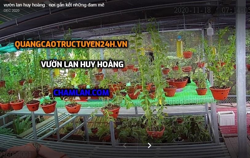 Top 10 vườn lan đẹp tại Thường Tín