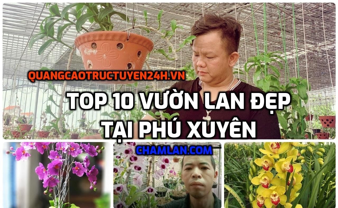 Top 10 vườn lan đẹp tại Phú Xuyên, Hà Nội - Những vườn lan đẹp nhất Phú Xuyên - Vườn lan đẹp tại Hà Nội