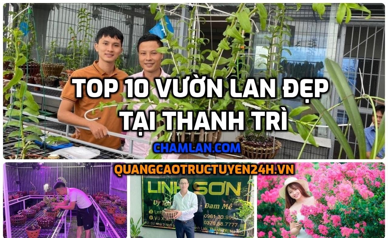 Top 10 vườn lan đẹp tại Thanh Trì