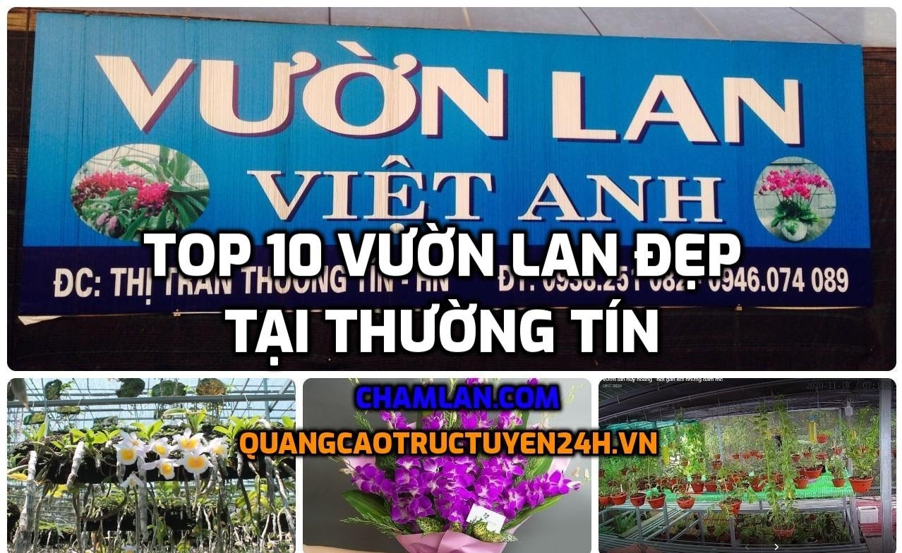 Top 10 vườn lan đẹp tại Thường Tín