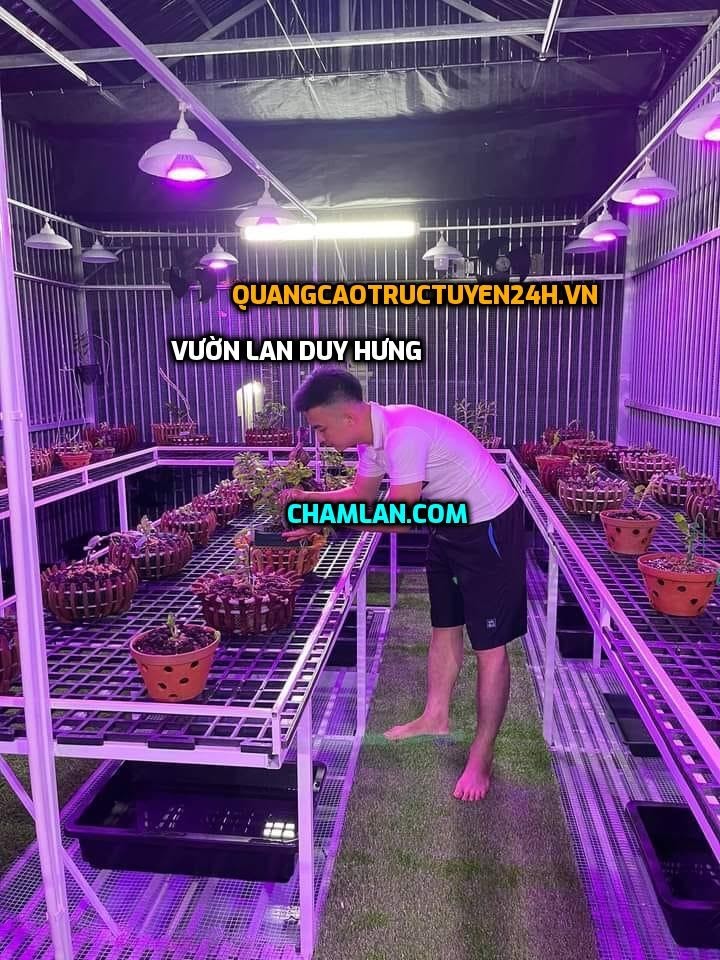 Top 10 Vườn lan đẹp tại Thanh Trì, Hà Nội
