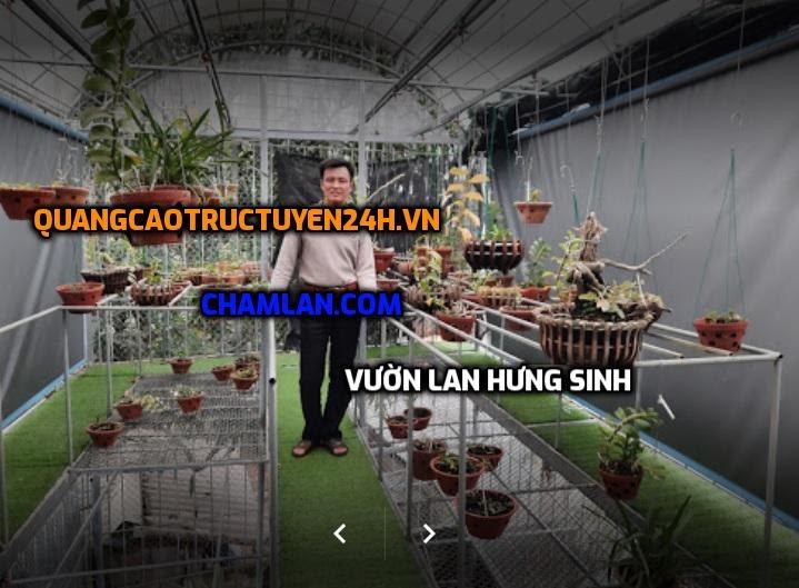 Top 10 vườn lan đẹp tại Sơn Tây