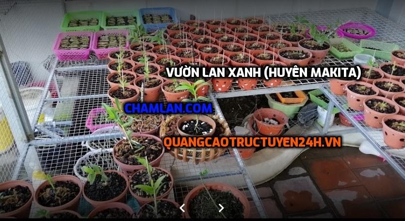 Top 10 vườn lan đẹp tại Ứng Hòa