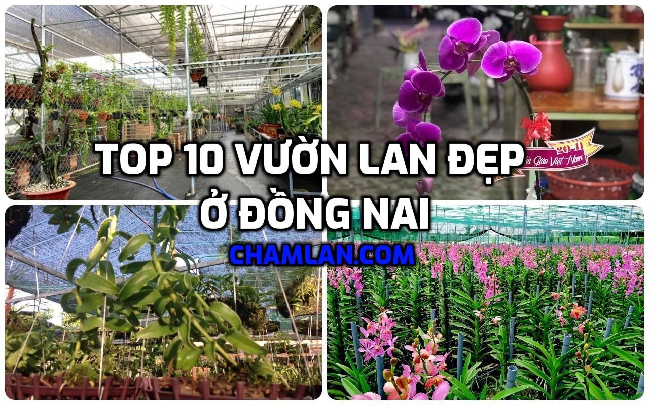 Top 10 vườn lan đẹp ở Đồng Nai