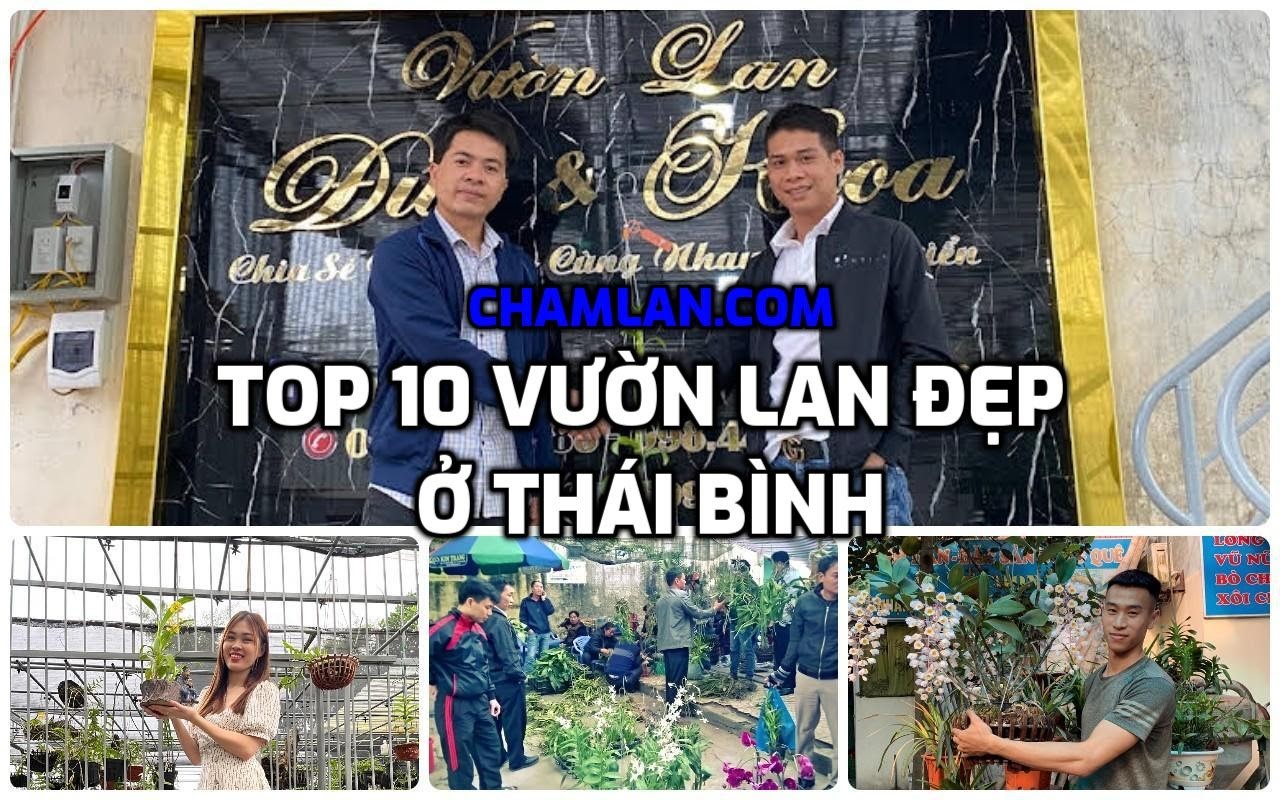 Top 10 vườn lan đẹp ở Thái Bình