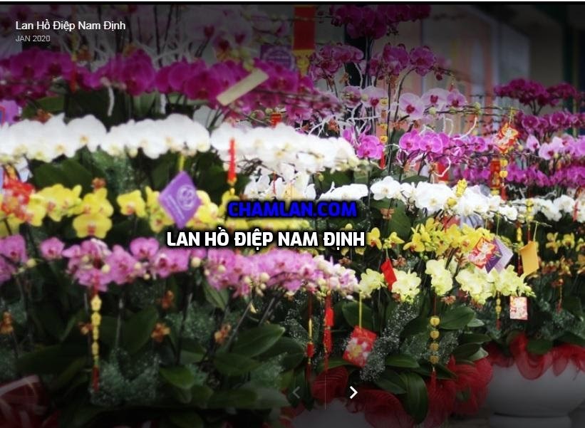 Top 10 vườn lan đẹp ở Nam Định