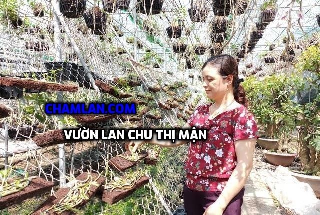 Top 10 vườn lan đẹp ở Hưng Yên