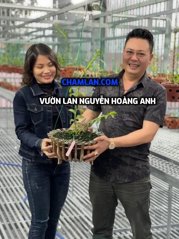Top 10 vườn lan đẹp ở Bắc Ninh