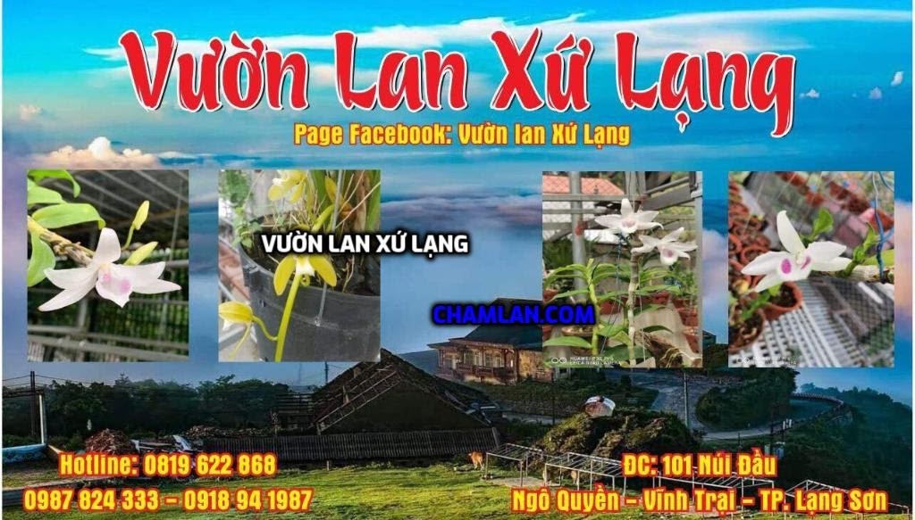 Top 10 vườn lan đẹp ở Lạng Sơn