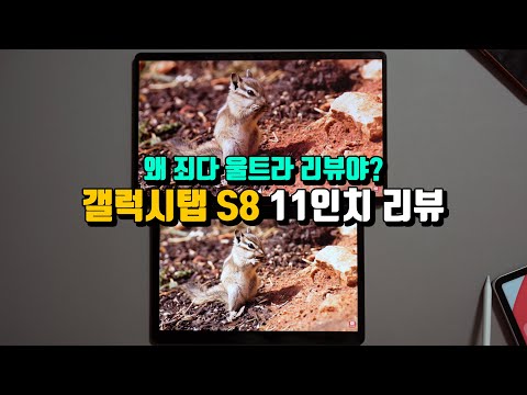 내돈내산 갤럭시탭 S8 11인치 언박싱 리뷰! 아이패드와 성능부터 s펜, 애플펜슬 비교까지!